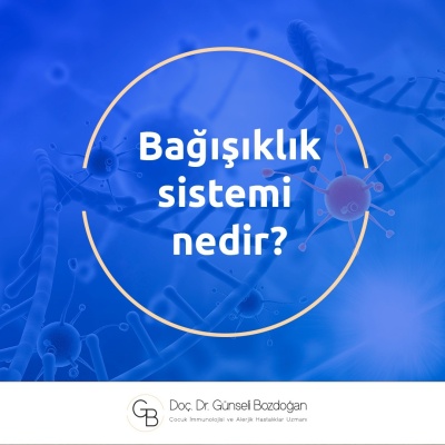 Bağışıklık sistemi nedir?