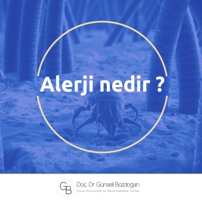 Alerji nedir?