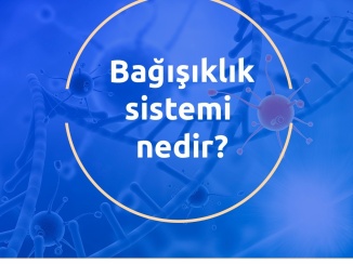 Bağışıklık sistemi nedir?